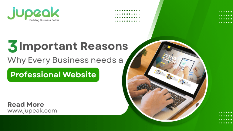3 Important reasons why Every Business needs a Professional Website
